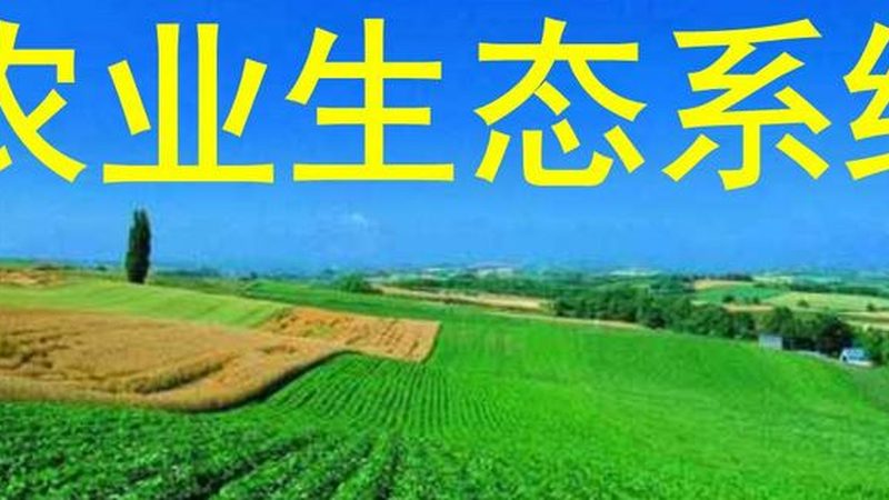 生物防治加盟，如何选择十大品牌？**