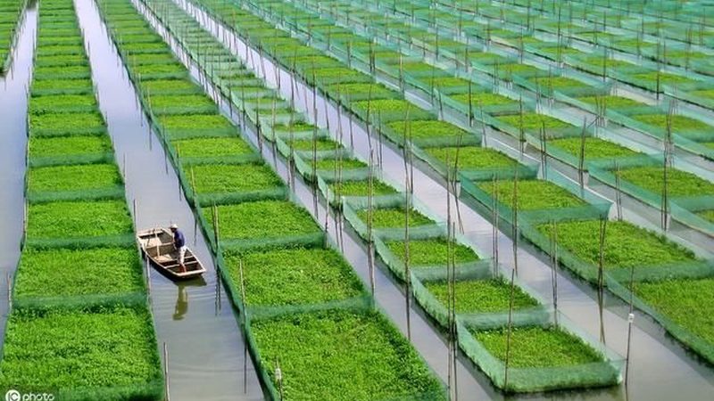 生鲜配送资质办理：合规之路上的关键步骤