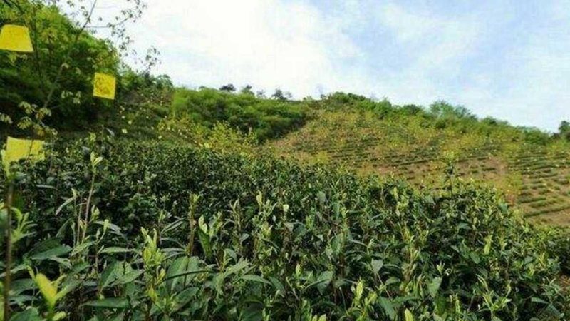 短视频获客的关键在于与客户建立良好的互动关系。以下是一些互动策略：