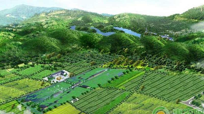 小型有机农业种植基地：如何评估报价与价值
