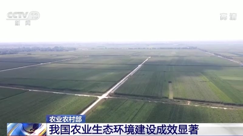 农村生态农业项目推荐
