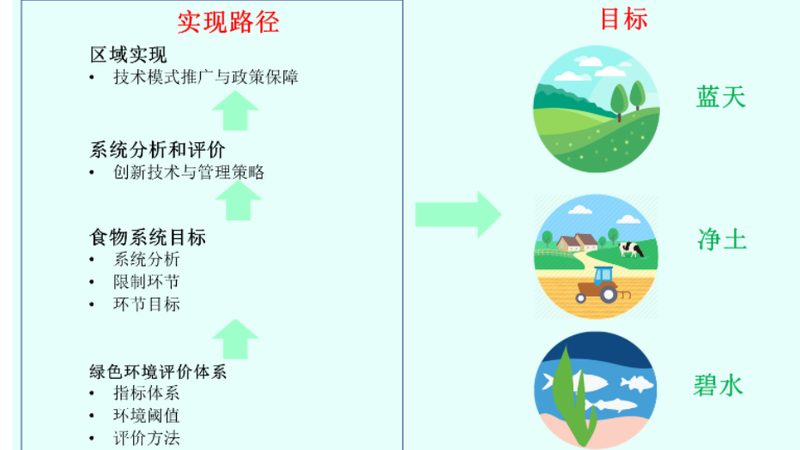 无花果种植新手必知：入门要点与误区解析