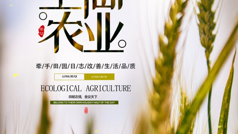 塑料大棚连栋温室：农业现代化的重要设施