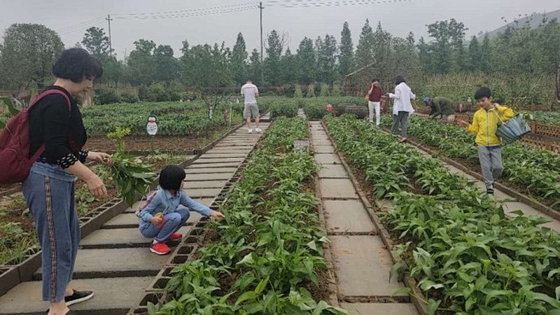 水溶肥真假辨别方法