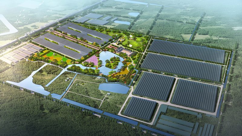 农业产业园可行性研究报告编制：关键要素与选择要点**