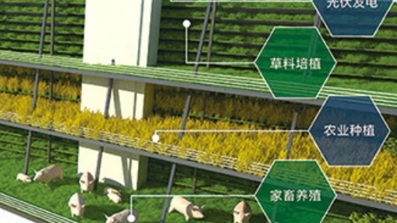 农产品产地直发采购，如何确保流程规范与品质保障？**